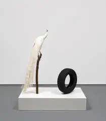 Color Lab - Free study with white peacock by Sylvie Fleury, 2012, taxidermy peacock, black tyre and white pedestal, offered Mar 2018