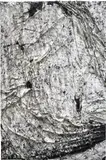 Angel Otero, Untitled