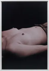 State by Wolfgang Tillmans, 2005, chromogenic print, in artist's frame, sold Mar 2018