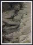 Thomas Ruff, ma.r.s. 05_1
