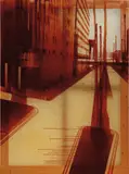 Matt MacDowel, Brown Town, 1998-1999, varnish on silkscreen