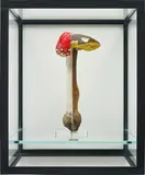 Carsten Höller, Doppelpilzvitrine