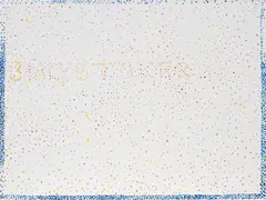 Reena Spaulings, Untitled (Bialystoker), 2006, acrylic on canvas