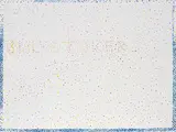Reena Spaulings, Untitled (Bialystoker), 2006, acrylic on canvas