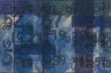 Hugh Scott-Douglas, Transaction Record, 2014, dye sublimation print on linen
