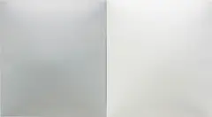 Dean Levin, Untitled (G+W), 2014, oil on Fiberglass reinforced plaster, diptych