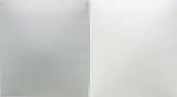 Dean Levin, Untitled (G+W), 2014, oil on Fiberglass reinforced plaster, diptych