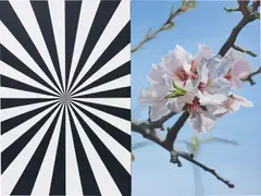 Mustafa Hulusi, Exstacy Almond Blossom 8, 2008, oil on canvas, in 2 parts