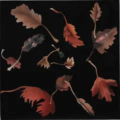 Jonathan Yeo, Leaf Study 20, 2008, collage on painted canvas