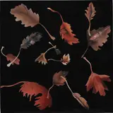 Jonathan Yeo, Leaf Study 20, 2008, collage on painted canvas