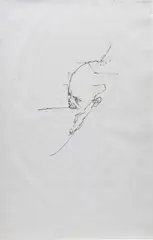 Chloe Piene, Headd, 2006, charcoal on vellum