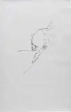Chloe Piene, Headd, 2006, charcoal on vellum