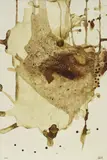 Pedro Cabrita Reis, 'D' après nature, (possibly...) #2 (Second Series), 2012, mixed media on paperboard