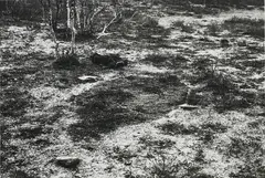 Richard Long, Light Snow Sleeping Place, 1983, gelatin silver print mounted on card