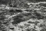 Richard Long, Light Snow Sleeping Place