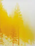 David Benjamin Sherry, Lemurian Morning Wood, 2011, chromogenic print flush-mounted to aluminium
