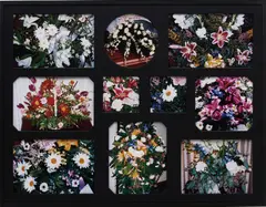 Robert Beck, The Flowers of Upheaval (Apart from the Whole), 2006, 10 chromogenic prints, in artist's frame