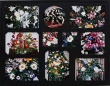 Robert Beck, The Flowers of Upheaval (Apart from the Whole), 2006, 10 chromogenic prints, in artist's frame