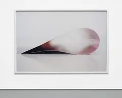 paper drop (star) II by Wolfgang Tillmans, 2007, c-print mounted on Forex, in artist's frame, sold Jun 2018