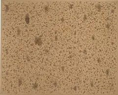 Kim Tschang Yeul, PA 19-80, 1980, oil on canvas