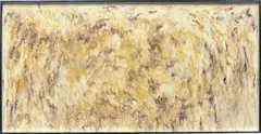Sterling Ruby, Alabaster SR09-8, 2009, acrylic, in artist's frame