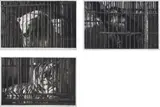 Robert Longo, Study of Polar Bear (Bresson's au hasard Balthazar) #1; Study of Tiger (Bresson's au hasard Balthazar) #2; Study of Monkey (Bresson's au hasard Balthazar) #3