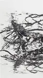Yehudit Sasportas, Sagiterious Ghost, 2005, ink and marker pen on paper