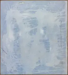 Sergej Jensen, Untitled, 2009, acrylic on sewn muslin, in artist's frame