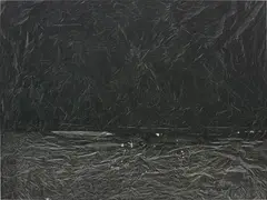 Sam Moyer, Untitled, 2012, ink and bleach on canvas laid on wood