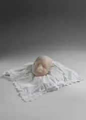 Sofie Muller, AL/LIV/17 sculpture, 2017, alabaster and textile pillow