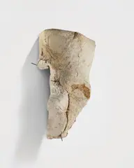 Keine Ahnung #7 by Peter Buggenhout, 2018, plaster, iron and cow stomach, offered Jun 2018
