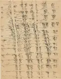 Henri Michaux, Sans titre