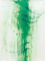 Wolfgang Tillmans, Freischwimmer 34, 2004, inkjet print