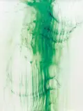 Freischwimmer 34 by Wolfgang Tillmans, 2004, inkjet print, sold Oct 2018
