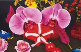 Marc Quinn, Under the Volcano (Pinacate, Mexico), 2012, oil on canvas