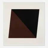 Black/Brown by Ellsworth Kelly, 1972, lithograph in colors on Arjomari, sold May 2025