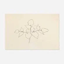 Woodland Plant by Ellsworth Kelly, 1979, lithograph on Arches, sold May 2025