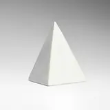 Sergio Camargo, Estudo