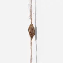 Fernanda Gomes, Untitled, 1992, silk and dried flower
