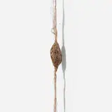 Fernanda Gomes, Untitled, 1992, silk and dried flower