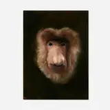 Hugo Wilson, Head Study (Monkey), 2011-12, oil on panel
