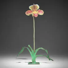 Marc Quinn, Orchid, 2001, transfer print on aluminum