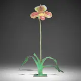 Marc Quinn, Orchid, 2001, transfer print on aluminum