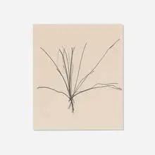 Richard Serra, Linear Composition, 1971, black crayon on wove paper