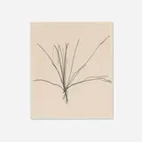 Richard Serra, Linear Composition, 1971, black crayon on wove paper