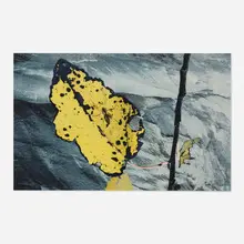 Peter Campus, A Spider Waits, 1995-99, archival iris print