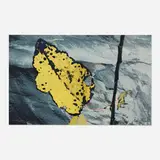 Peter Campus, A Spider Waits, 1995-99, archival iris print