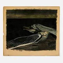 Morris Graves, Wounded Gull, ink on canvas laid to board