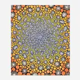 Barbara Takenaga, The Night Visitor, 2002, lithograph in colors