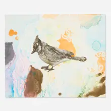 Anne Chu, XXIII (from the Blue Jay Monotypes series), 2010, lithograph with monotype